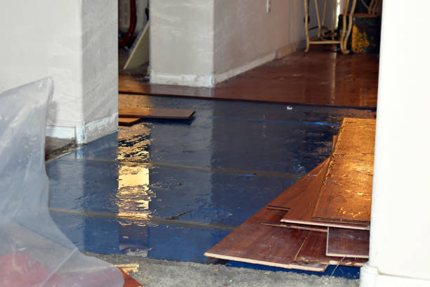 Professional Water Damage Restoration technician working in Stanley, ND